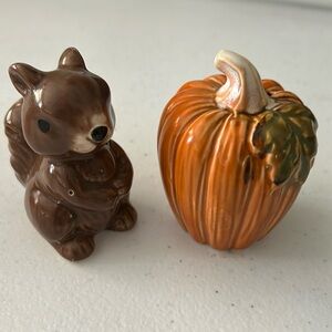 Squirrel pumpkin salt and pepper shaker